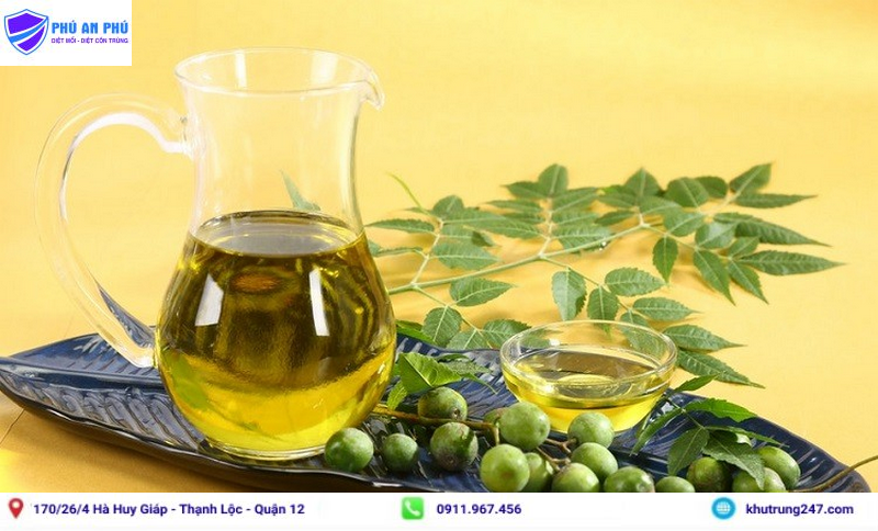 Sử dụng dầu neem để diệt mối trong nhà